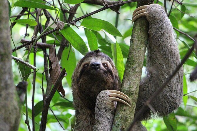 Guanacaste full day: Explore Nature, horse, sloth and waterfalls - Experience the Best of Guanacaste in a Full Day of Nature and Adventure