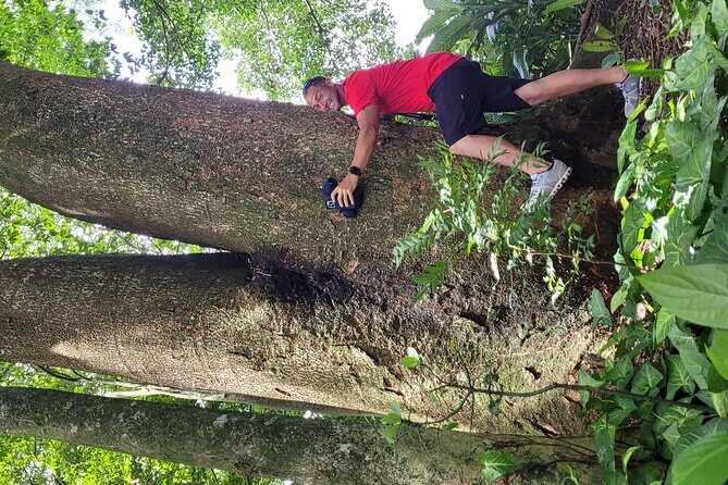 Guanacaste full day: Explore Nature, horse, sloth and waterfalls - Who Would Love This Tour?