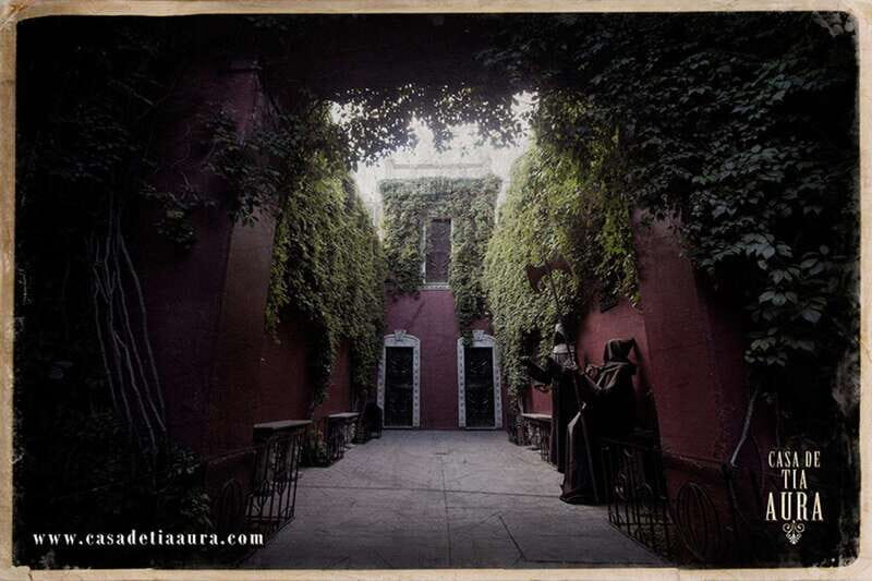 Guanajuato: Casona Tía Aura, Mysterious house full of history - A Deep Dive Into the Experience