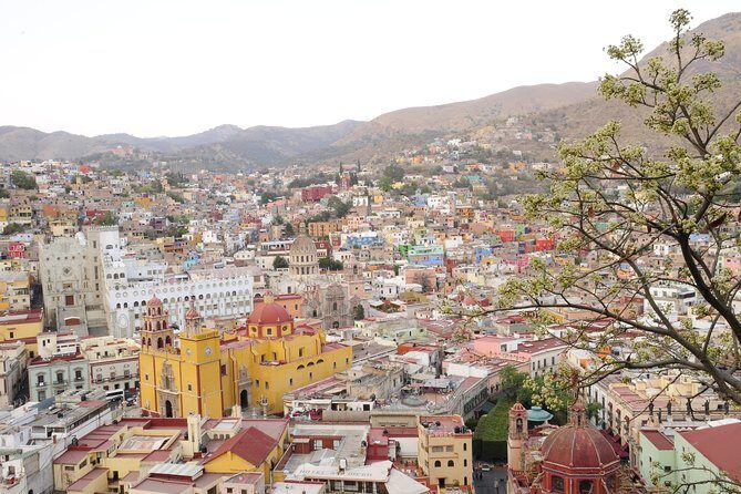 Guanajuato from San Miguel de Allende - Exploring Guanajuato from San Miguel de Allende: A Detailed Review