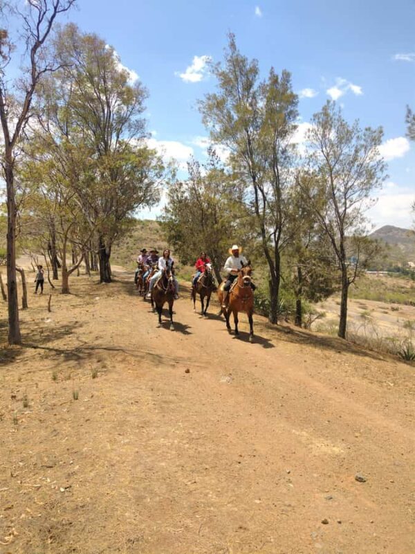Guanajuato: horse ride tour - Discovering Guanajuato from a Different Perspective