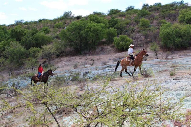 Guanajuato: horse ride tour - Final Thoughts: Is This Tour Worth It?