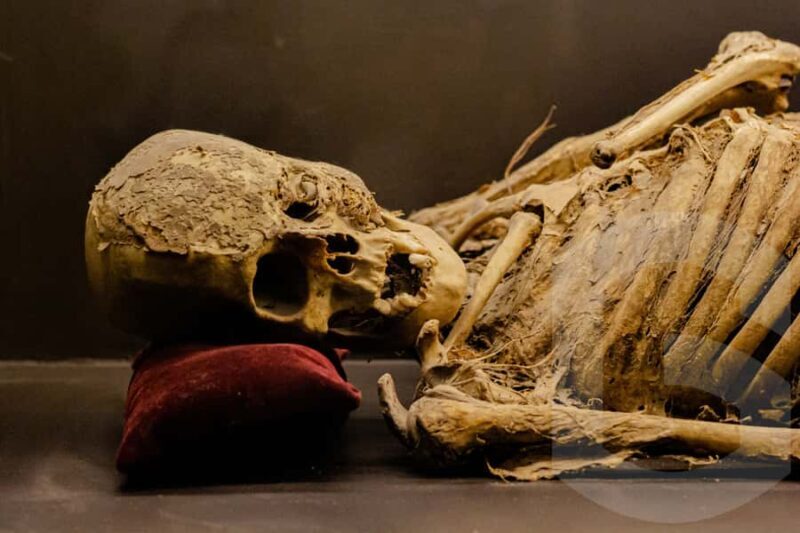 Guanajuato: Mummies, Mines and Tunnels Guided Group Tour - Guanajuato: Mummies, Mines and Tunnels Guided Group Tour