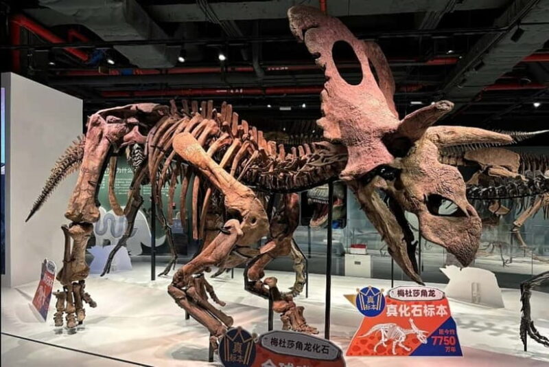 Guangzhou: Grandview Museum of Nature Science Ticket - Who Will Appreciate This Experience?