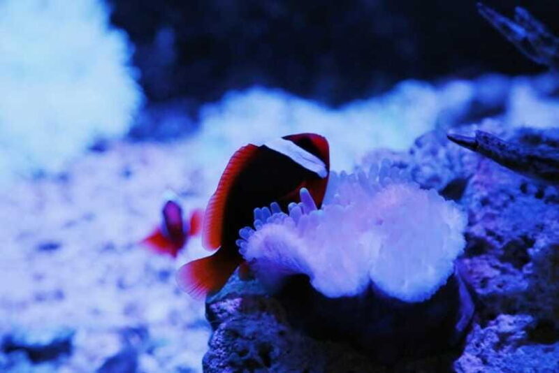 Guangzhou: Grandview Museum of Nature Science Ticket - FAQ