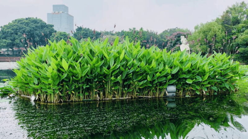 Guangzhou: Lychee Bay River Cruise - Who Would Enjoy This Experience?