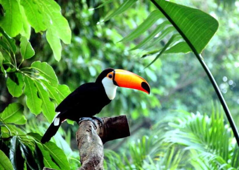 Guangzhou Popular Restaurant Reservation: Skip the Queue - FAQs About Guangzhou Restaurant Reservations