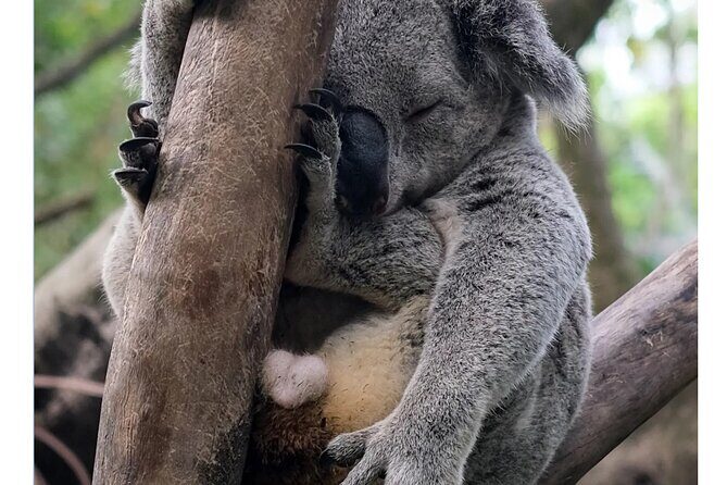 Guangzhou Private Safari Tour with Ride - Final Thoughts: Is It Worth It?