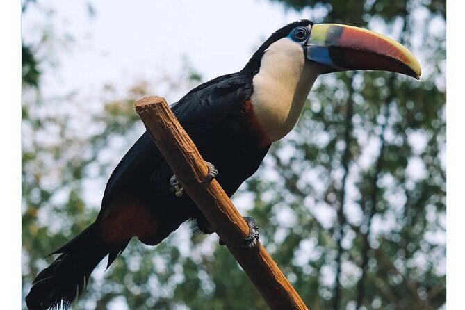 Guangzhou Private Safari Tour with Ride - Frequently Asked Questions