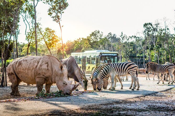 Guaranteed Departures: Vinpearl Safari & Countryside Pepper Farm - Key Points