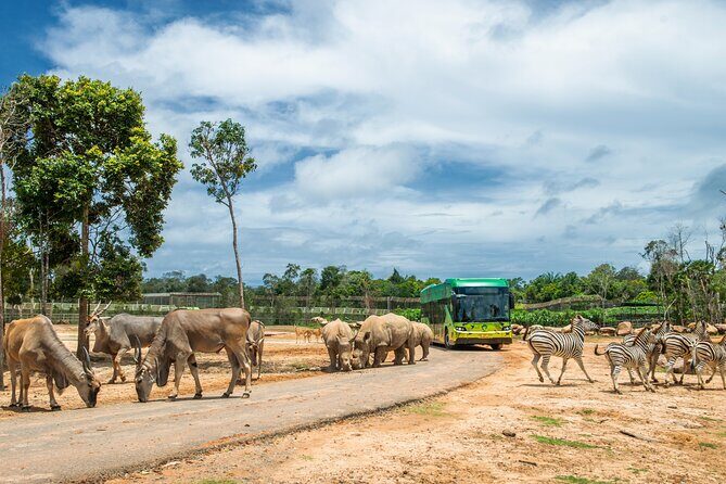 Guaranteed Departures: Vinpearl Safari & Countryside Pepper Farm - Final Thoughts: Is It Worth It?