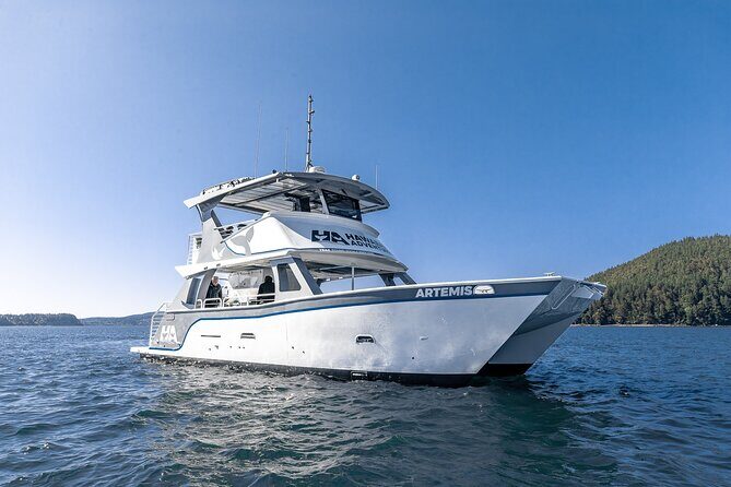 Guaranteed Dolphin and Whale Watch Tour in Kona - Why This Tour Offers Great Value