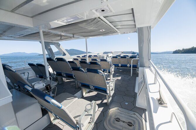 Guaranteed Dolphin and Whale Watch Tour in Kona - Who Will Love This Tour?