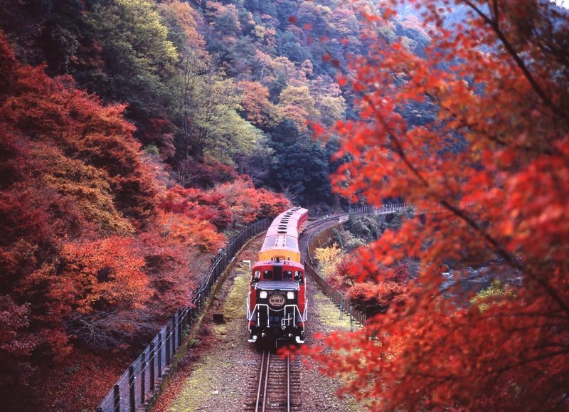 Guaranteed: Kyoto Sagano Train, Hozugawa Boat & Arashiyama Walk - From Kyoto Station to the Sagano train