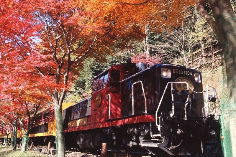 Guaranteed: Kyoto Sagano Train, Hozugawa Boat & Arashiyama Walk - The 25-minute Sagano Romantic Train ride