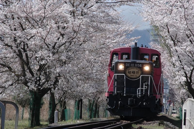 Guaranteed: Kyoto Sagano Train, Hozugawa Boat & Arashiyama Walk - Two hours in Arashiyama