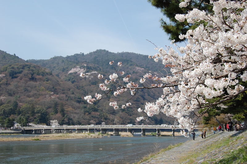 Guaranteed: Kyoto Sagano Train, Hozugawa Boat & Arashiyama Walk - Who should book this Kyoto day trip
