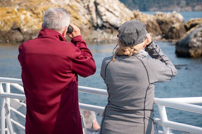 Guaranteed Whale Watch Tour from Anacortes - The Experience in Detail