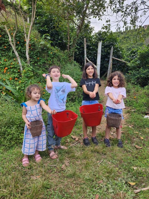 Guatape Coffee Villa including Rock Town & Waterfall - A Deep Dive into the Tour Experience