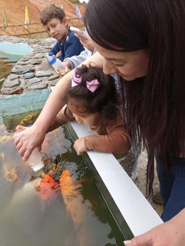 GUATAPÉ: PRIVATE TOUR 8 PX EL PEÑOL, GUATAPE, BOAT AND LUNCH IN KITCHEN OC. - A Day in Antioquia: Exploring Guatapé, La Piedra del Peñol, and More