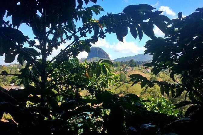 Guatape Rock & Coffee Tour & Picturesque Town: Private Tour - Discovering Colombia’s Hidden Gems in One Day