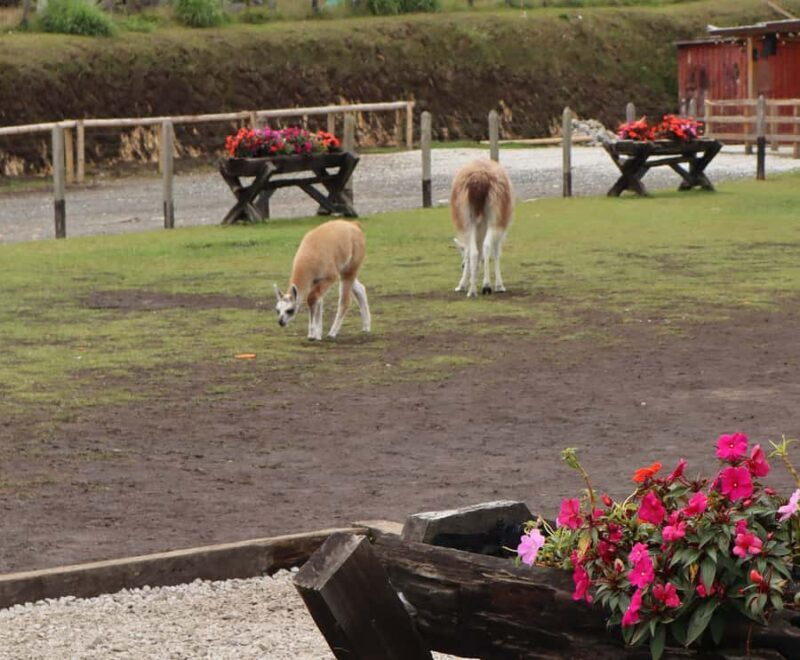 Guatapé Tour: All Inclusive Weekend - A Full Breakdown of the Guatapé All-Inclusive Weekend Tour