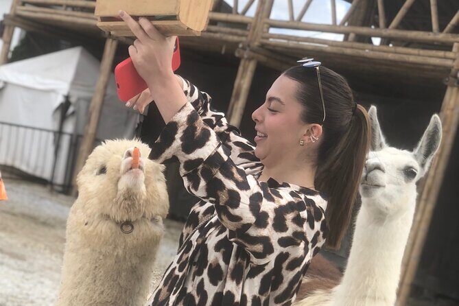 Guatape tour + Boat Ride + coffee tour BEST EXPERIENCE - Key Points