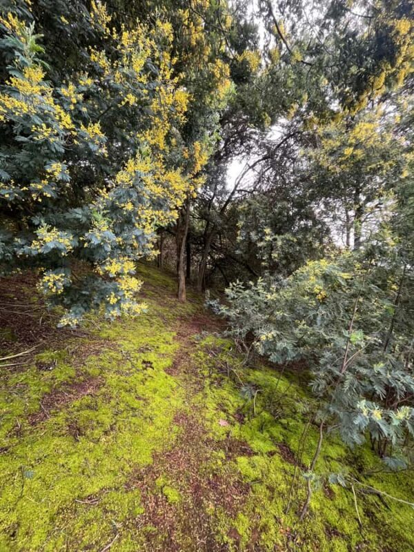 Guatavita: Tour to Guatavita Lagoon, the Village and Casa Loca - Key Points