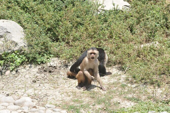 Guayaquil City Tour and Historic Park Visit - FAQ