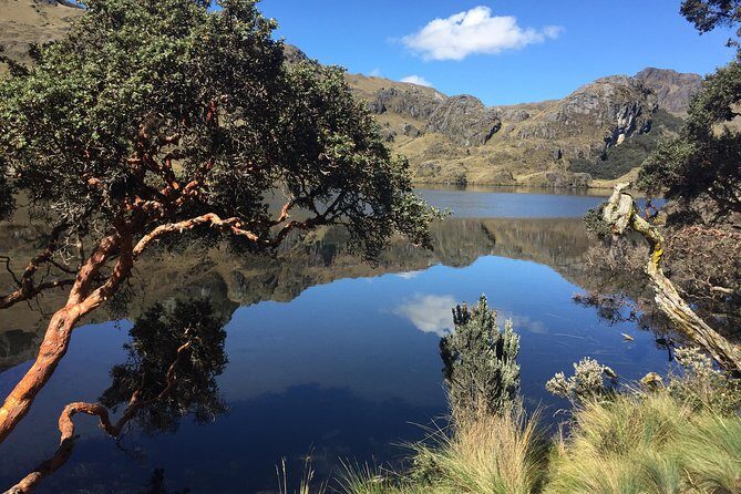 Guayaquil to Cuenca one-way tour with Cajas Park and a Cacao Farm visit - FAQ