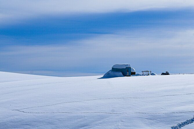 Gudauri Adventures - One Day Private Tour to Gudauri Ski Resort - What Makes This Tour Stand Out?