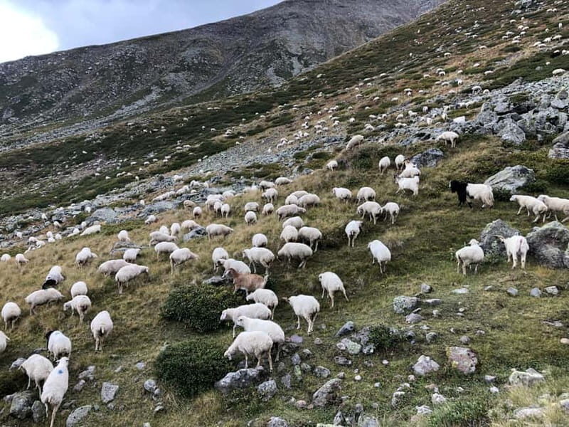 Gudauri and Kazbegi: Private Day Trip from Tbilisi - Exploring the Itinerary in Depth