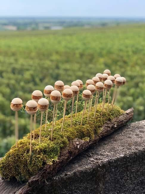 Gueberschwihr: wine tasting course with 12 wines and 5 appetizers - The 3.5-Hour Journey: What to Expect