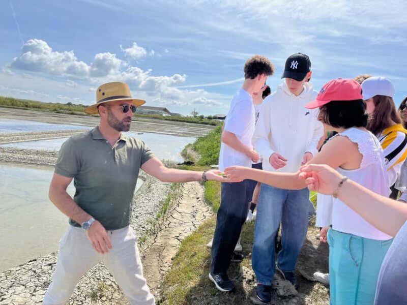 Guérande Salt Marshes tour - In-Depth Review of the Guérande Salt Marshes Tour