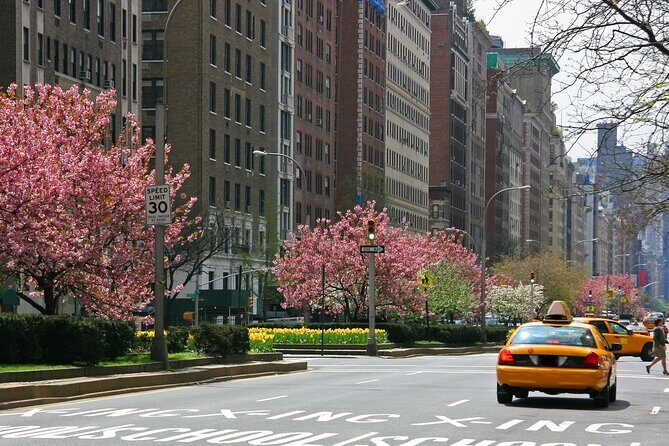 Guggenheim Ticket and Audio Tour with Carnegie Hill Walk - The Sum Up: Is This Tour Right for You?