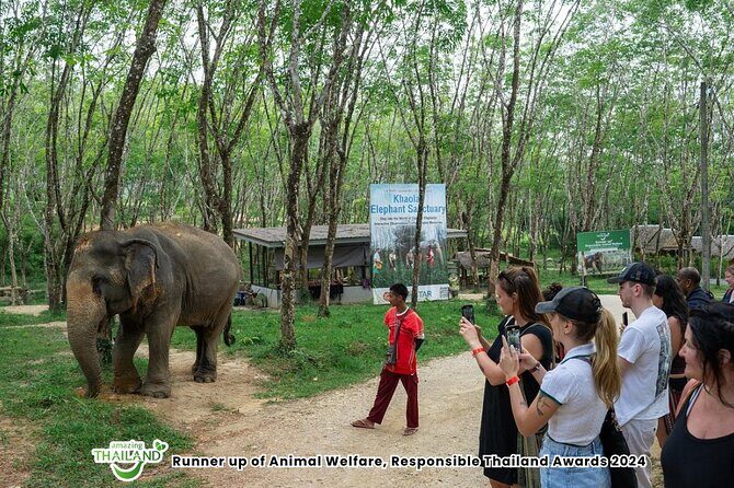 Guide Tour to Khaolak Elephant Sanctuary in Small Group - Key Points