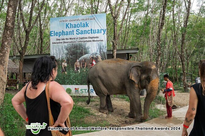 Guide Tour to Khaolak Elephant Sanctuary in Small Group - Why This Tour Stands Out