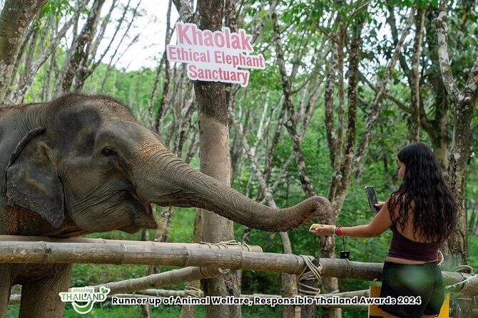 Guide Tour to Khaolak Elephant Sanctuary in Small Group - FAQs
