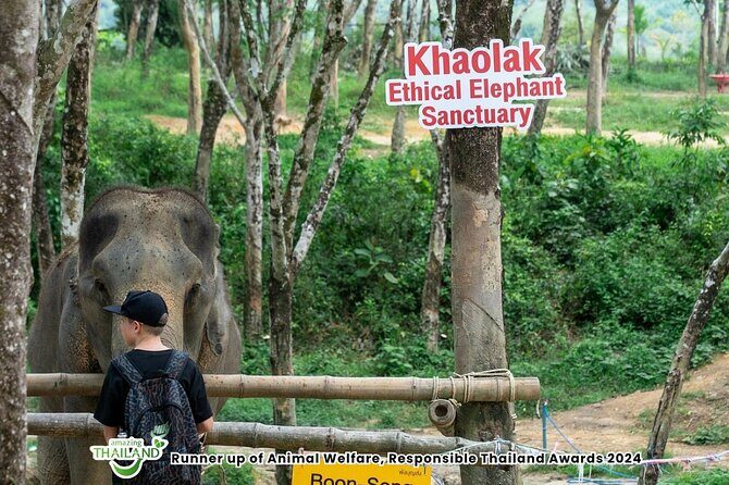 Guide Tour to Khaolak Elephant Sanctuary in Small Group - Final Thoughts