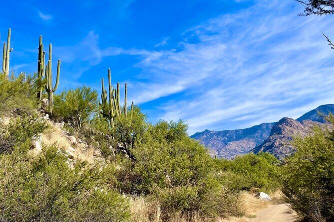 Guided 2 Hour Horseback Ride Catalina State Park Coronado Forest - An In-Depth Look at the Tucson Horseback Ride