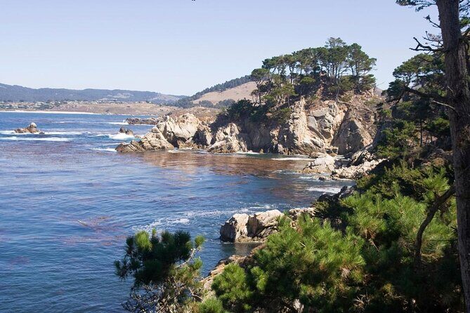 Guided 2-Hour Point Lobos Nature Walk - Experience the Natural Beauty of Point Lobos in Just a Few Hours