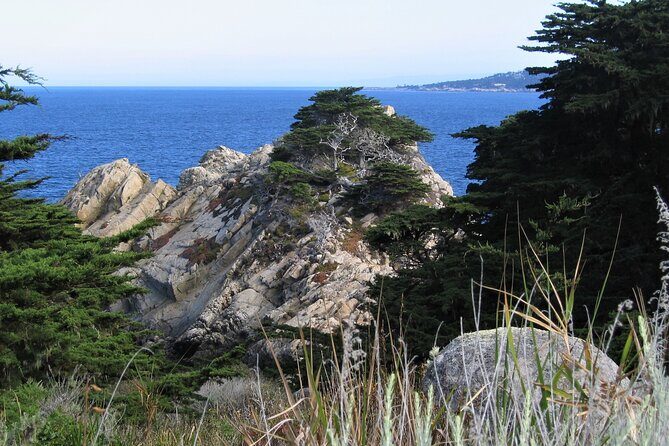 Guided 2-Hour Point Lobos Nature Walk - An In-Depth Look at the Tour