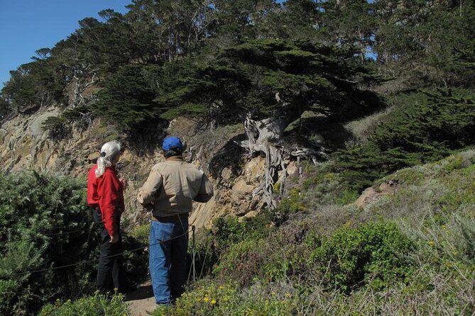 Guided 2-Hour Point Lobos Nature Walk - The Sum Up: Why Choose this Guided Point Lobos Walk?