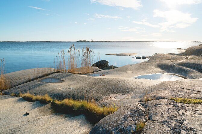 Guided 3-Day Kayak and Wildcamp Tour in Stockholm Archipelago - Day 2: Discovering Nature Reserves and Wildlife