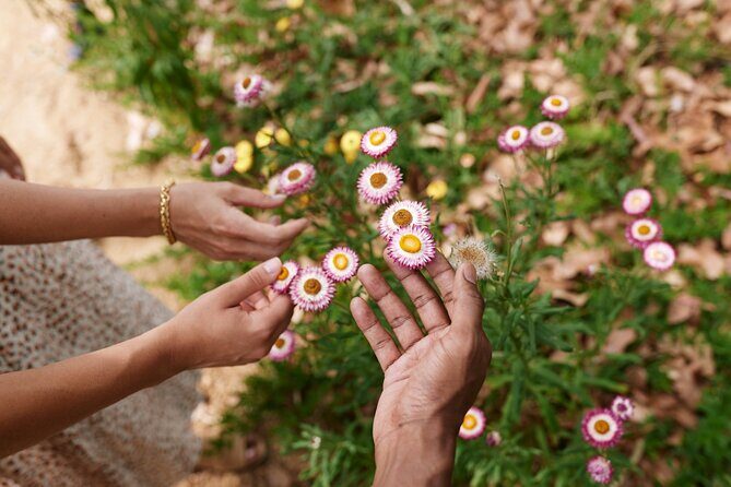 Guided Aboriginal Cultural Tour of Adelaide Botanic Garden - FAQs