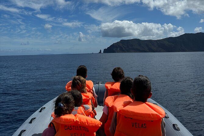 Guided activity in the Heart of Azores with whales and dolphins - FAQ