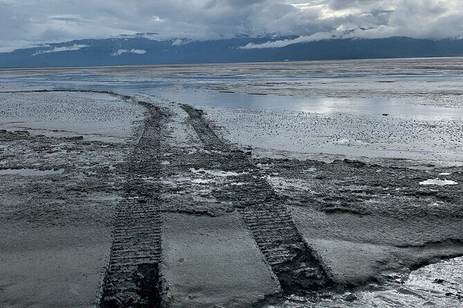 Guided Airboat Tour - The Sum Up: The Authentic Wilderness Experience