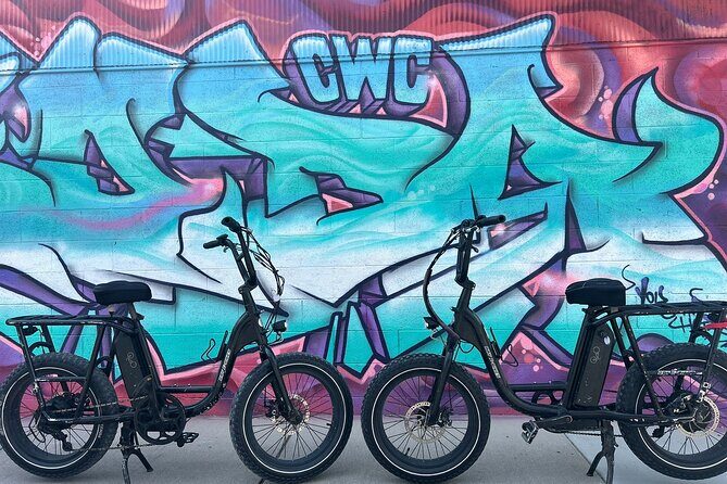 Guided Asheville E-bike Tour of River Arts, Mountains and Murals - The Sum Up
