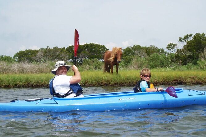 Guided Assateague Kayaking and Wildlife Discovery Tour - What Past Participants Say
