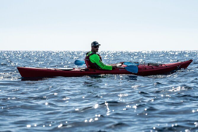 Guided Athens Sea Kayak Temple of Poseidon - What to Expect from the Athens Sea Kayak Tour